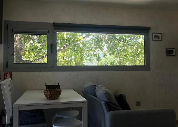 Prázdninový dům Cantinho De Trevoeiros - Casa Duarte Arcos de Valdevez