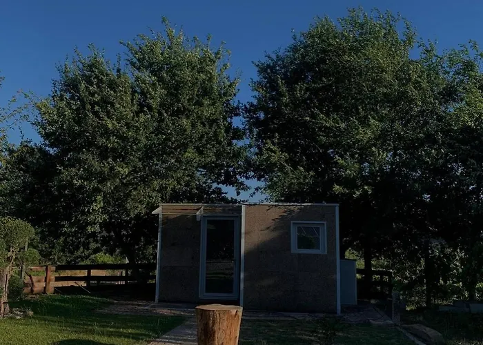 Cantinho De Trevoeiros - Casa Duarte Hébergement de vacances *